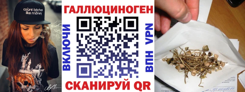 Галлюциногенные грибы Psilocybe Вышний Волочёк